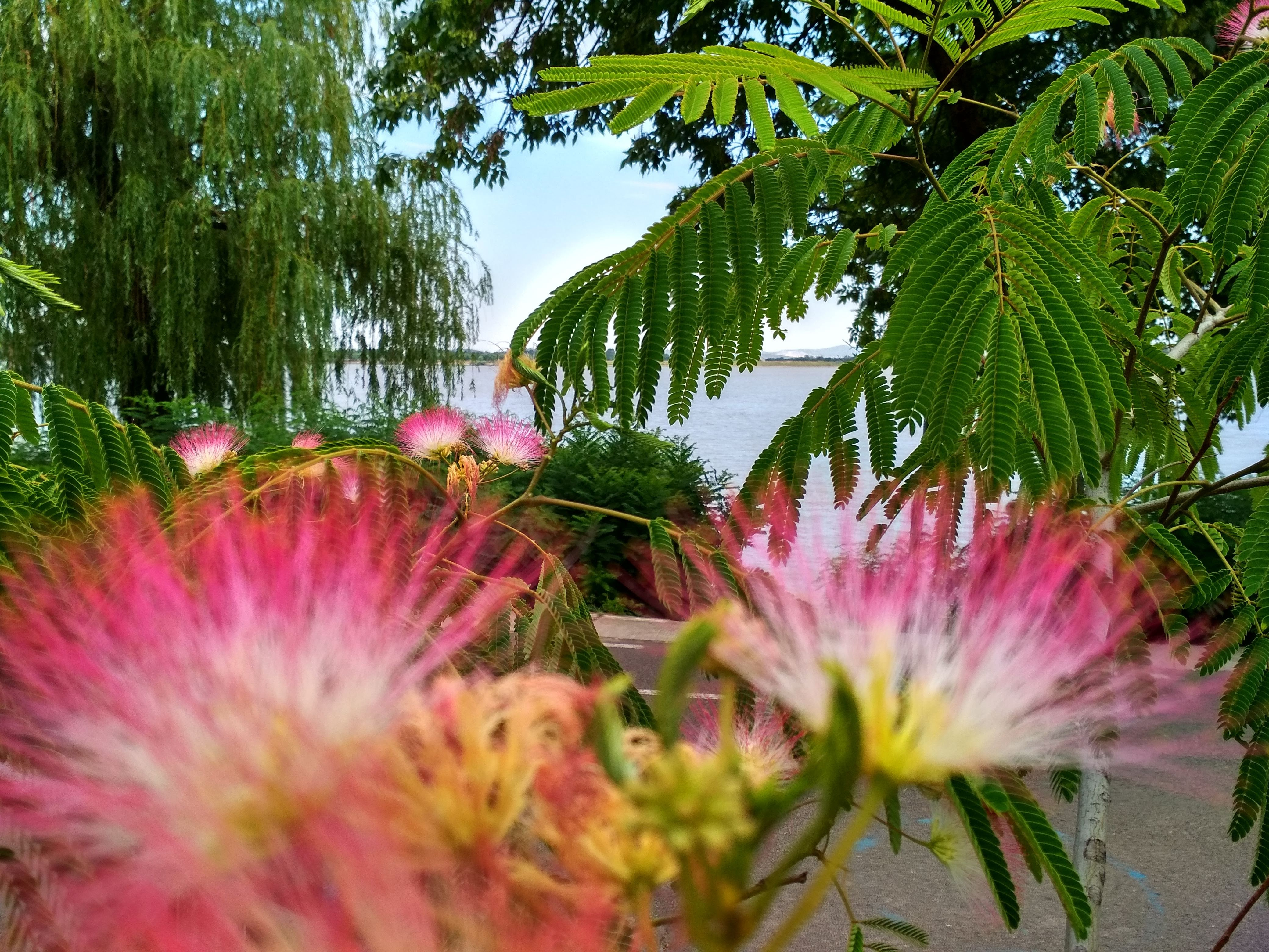 Cromatică urbană. Galațiul roz