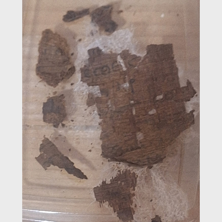 Papirus cu „Iliada” lui Homer, în interiorul unei mumii