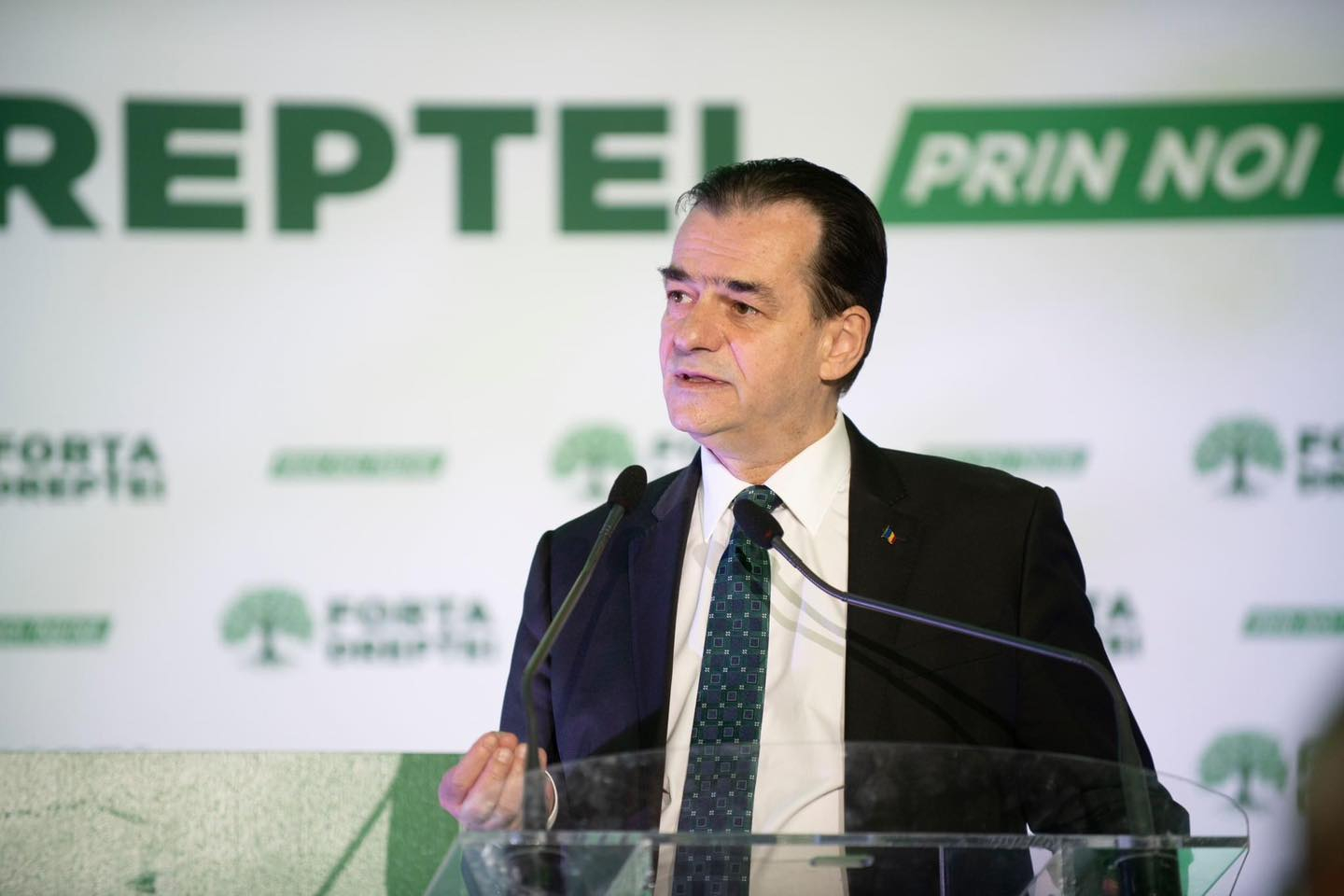 Termen de judecată pentru alegeri locale parțiale