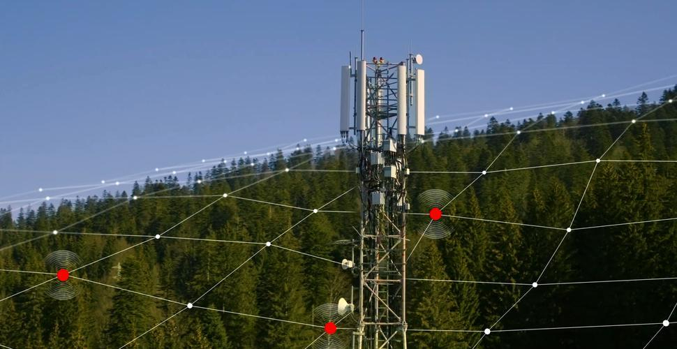 Smart Forest ar putea ajuta la oprirea defrișărilor ilegale din România