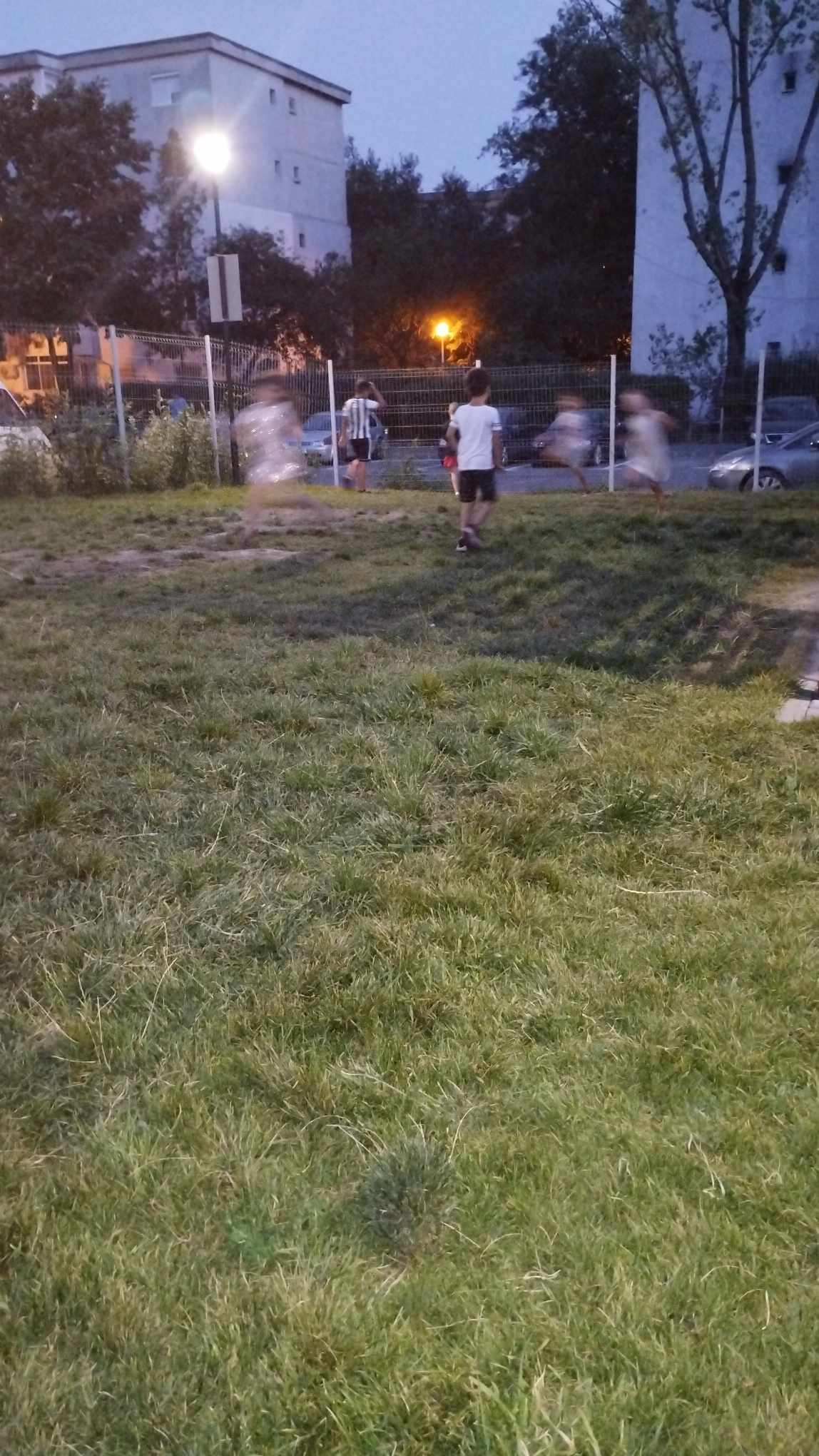 Fotbalul dăunează gazonului?!