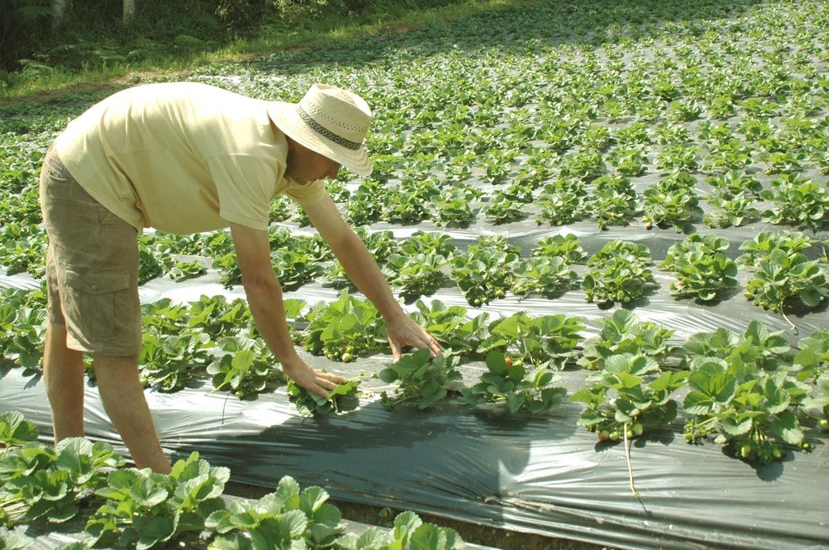 OPORTUNITATE pentru gălăţenii ŞOMERI/ Peste 1.100 de locuri de muncă peste hotare
