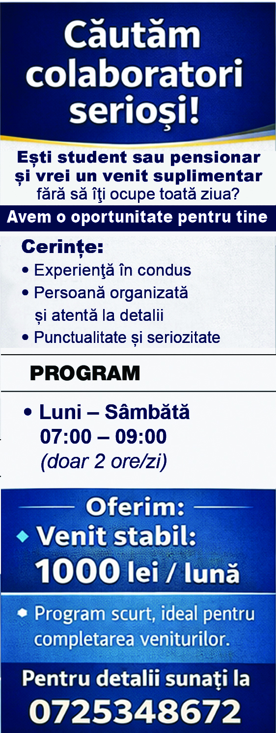 Ești în căutarea unui venit suplimentar?