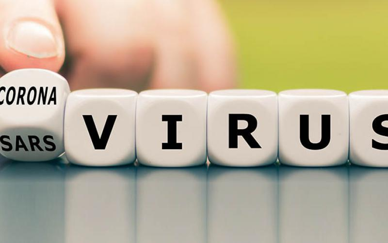 ”România nu a trecut de vârful epidemiologic”