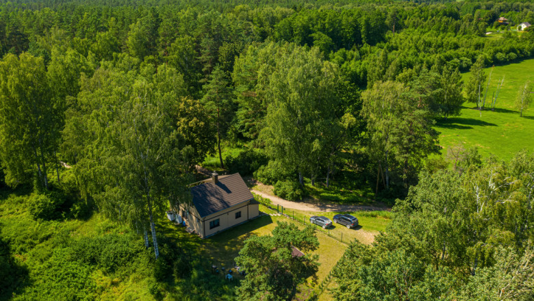 Noul Cod Silvic a fost aprobat în Parlament