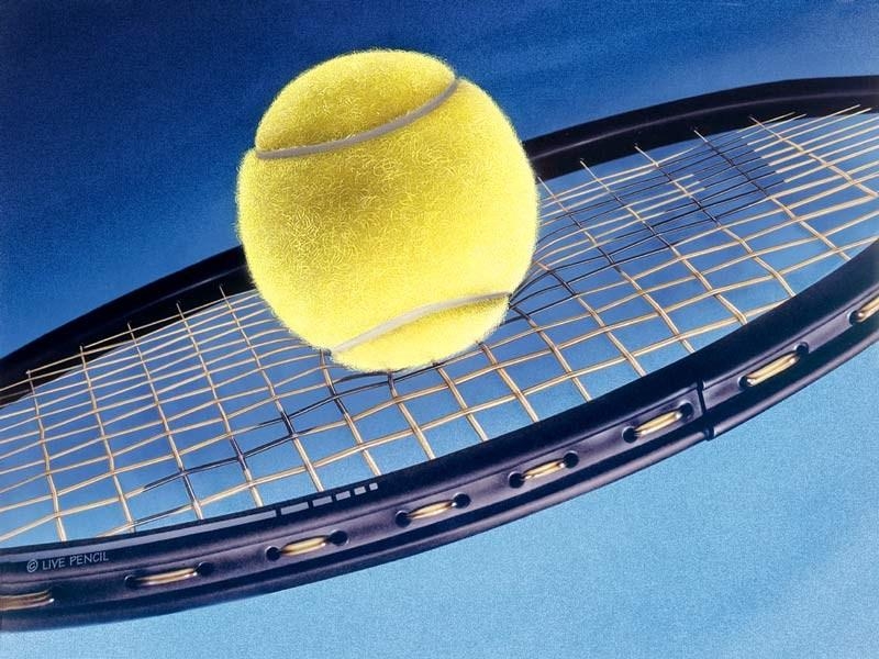 TENIS/ VEZI cine a luat „Cupa Dunării”