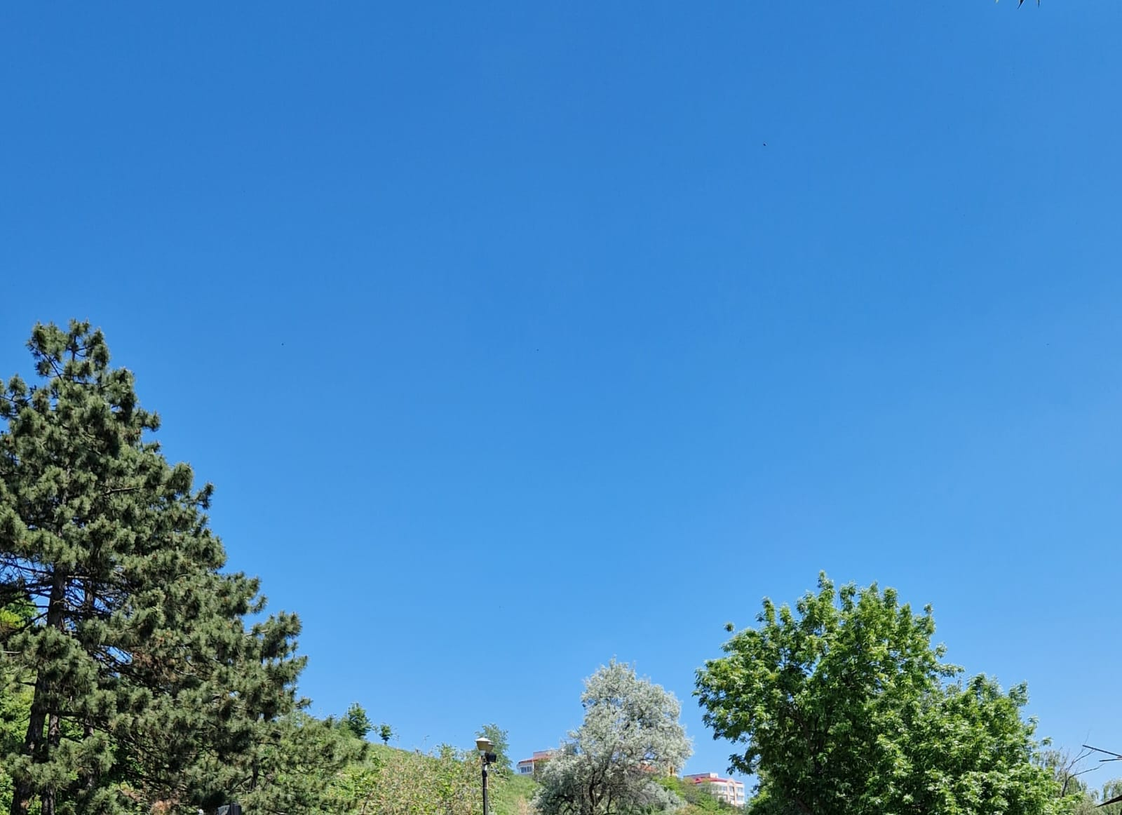 Vreme frumoasă şi temperaturi de vară