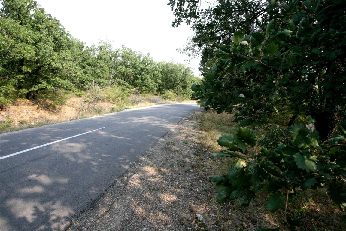 Îşi face cineva de cap prin rezervaţia de la Breana? 