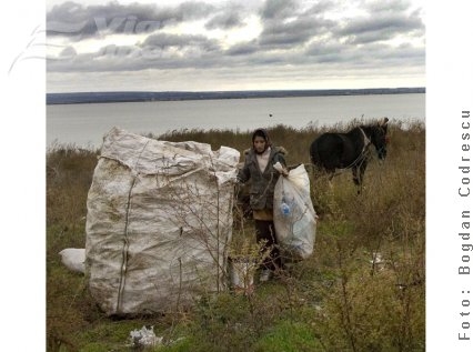 Măgarul care colectează PET-uri!