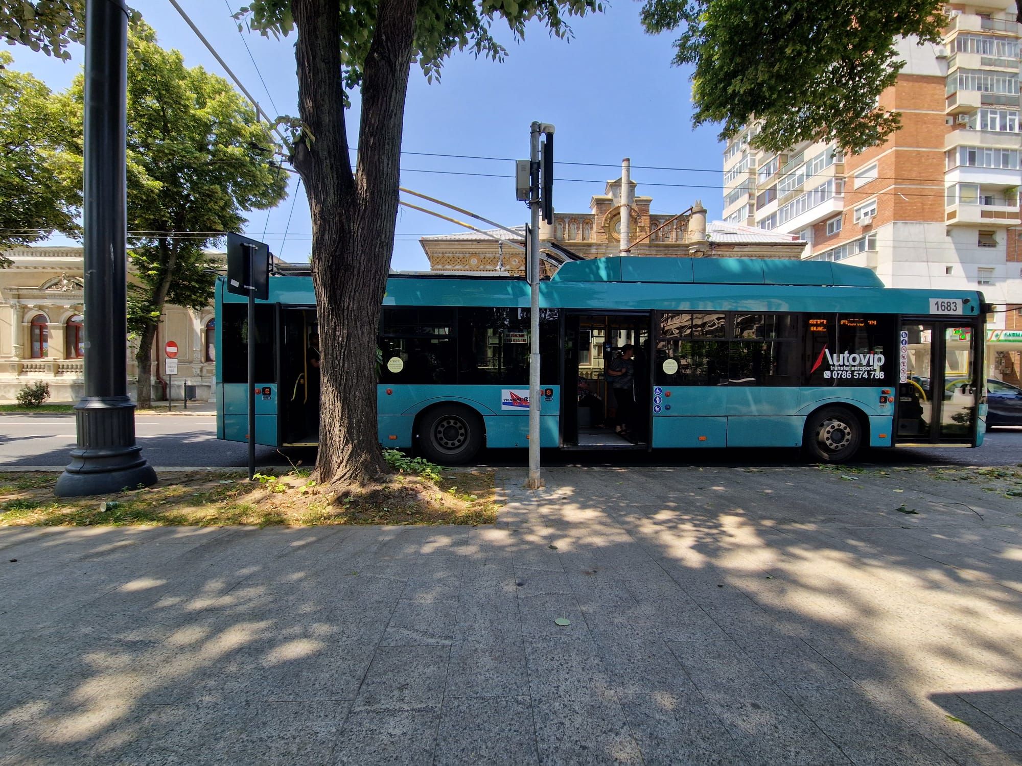 Cum să opreşti autobuzul între doi copaci