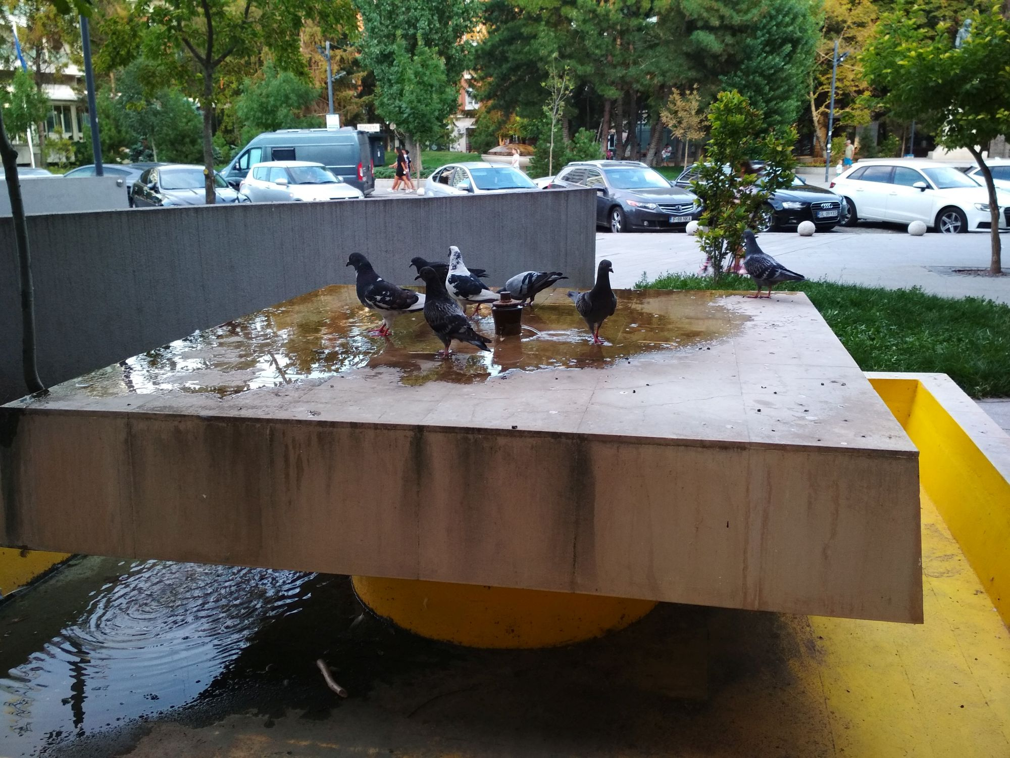 Cum va fi vremea la început de toamnă