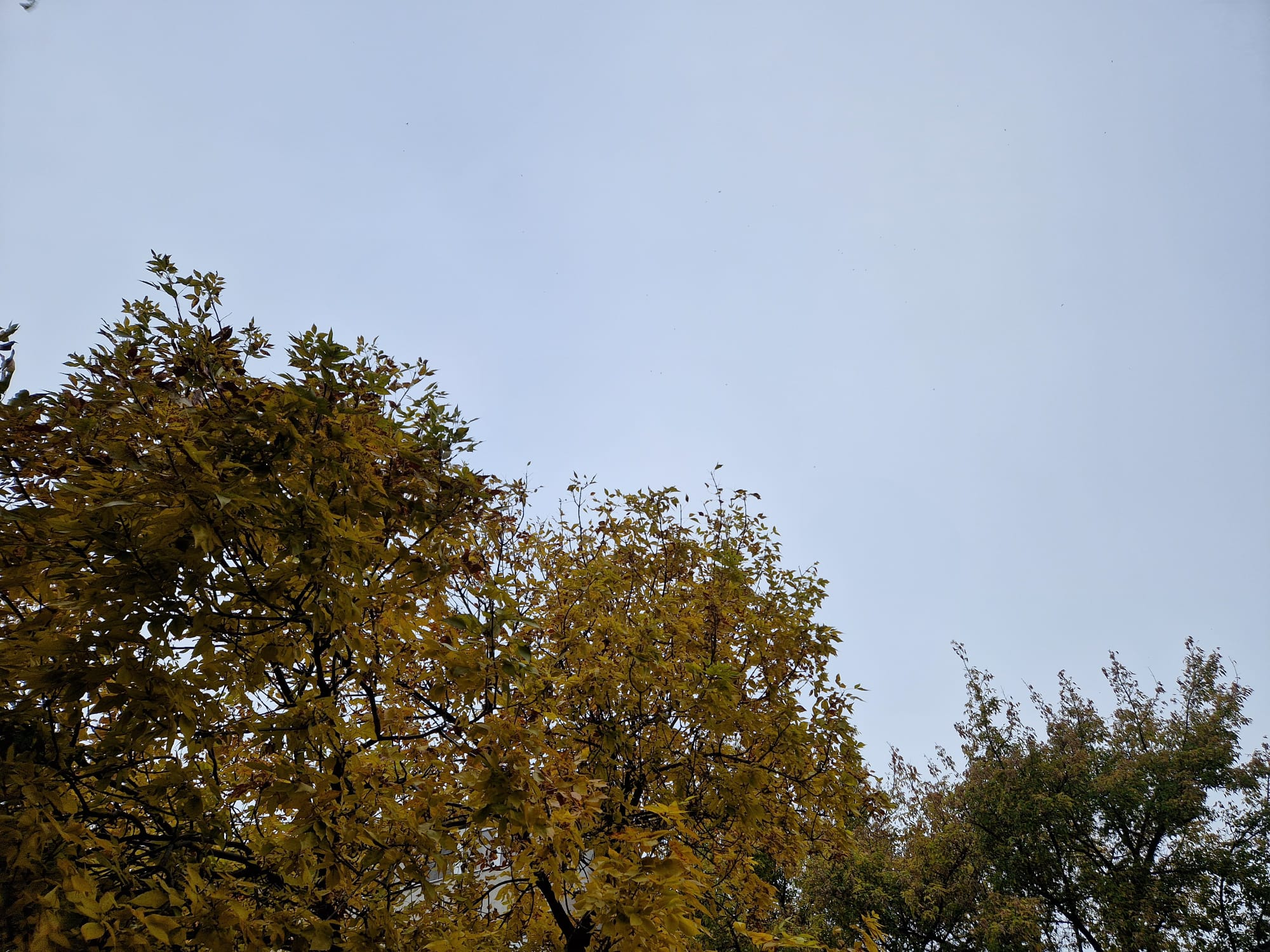 Cer înnorat şi maxime de 15 grade