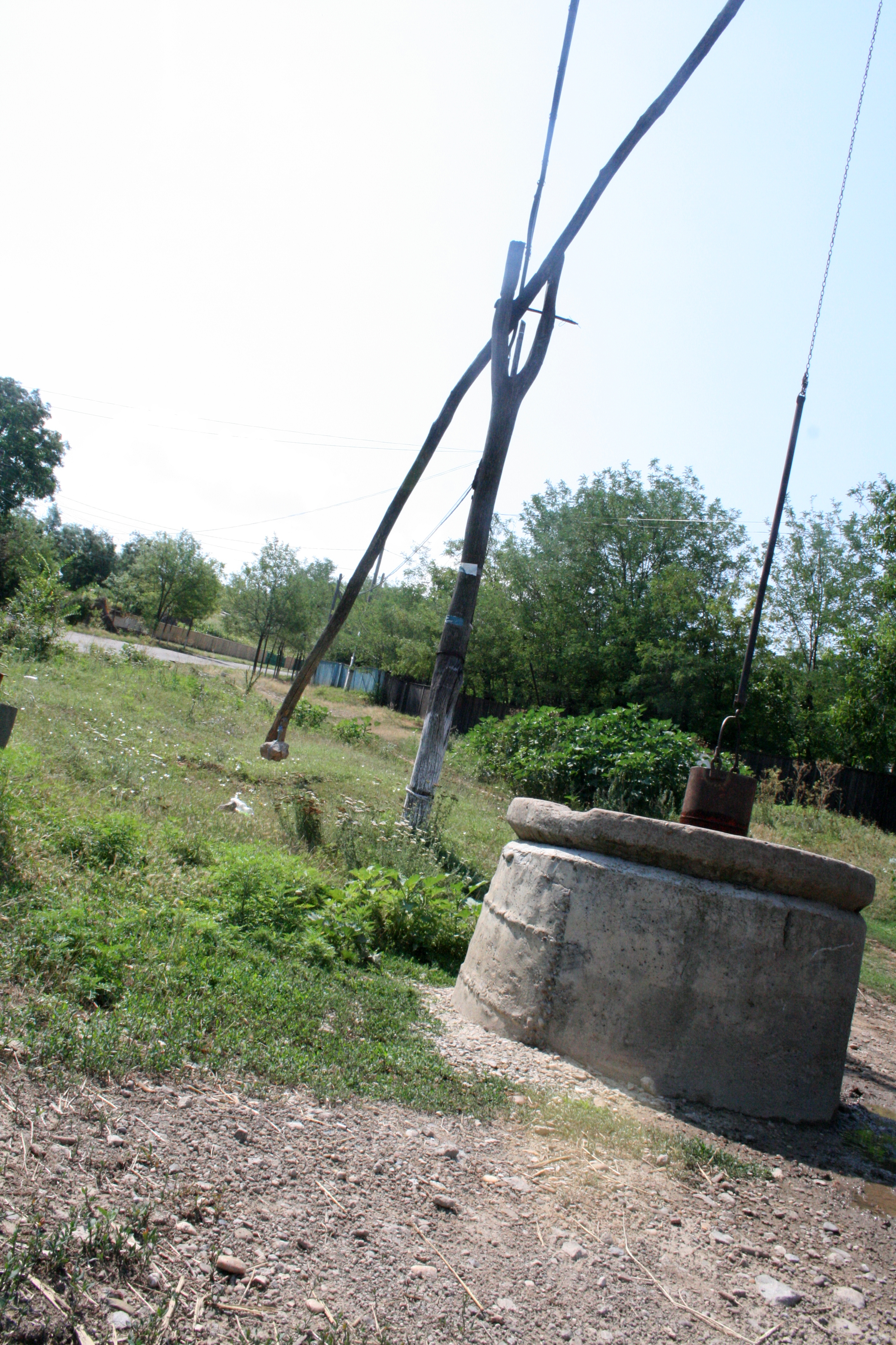 Bebeluş intoxicat cu nitriţi la Gohor