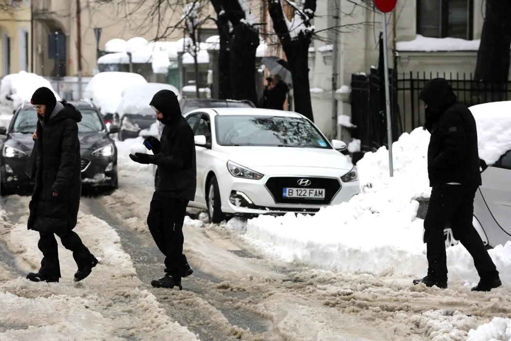 Misterul mediului, pădurilor și apelor necurgătoare