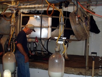 Nu declari cota de lapte - o pierzi!