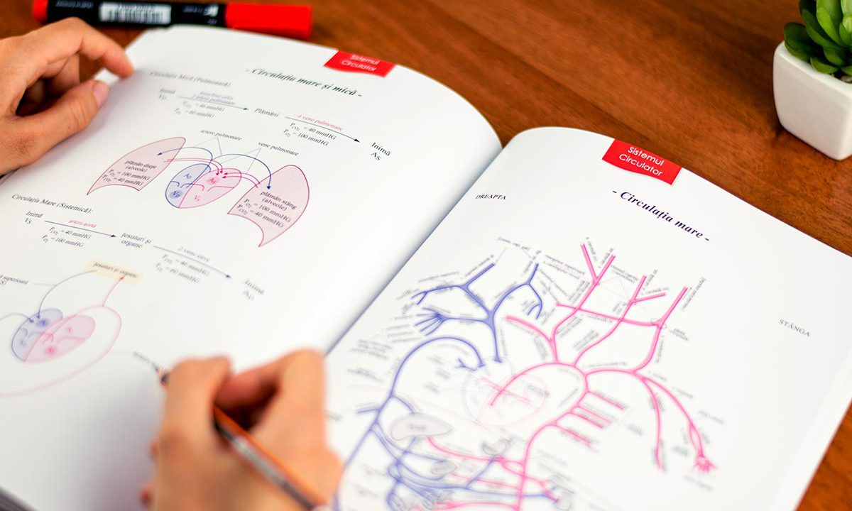 Simulare pentru admitere, la Medicina din Galaţi