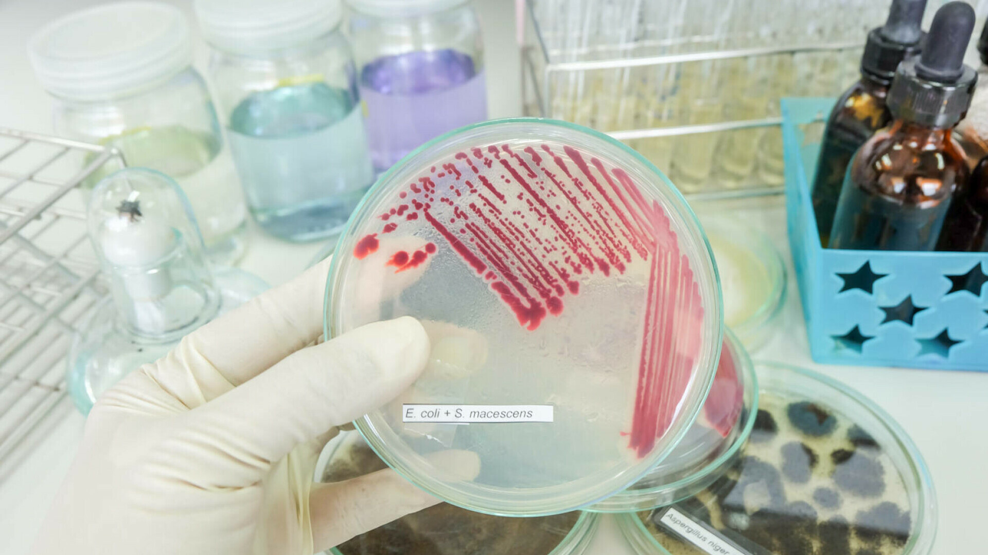 Bacteria ucigaşă de la Iaşi face noi victime