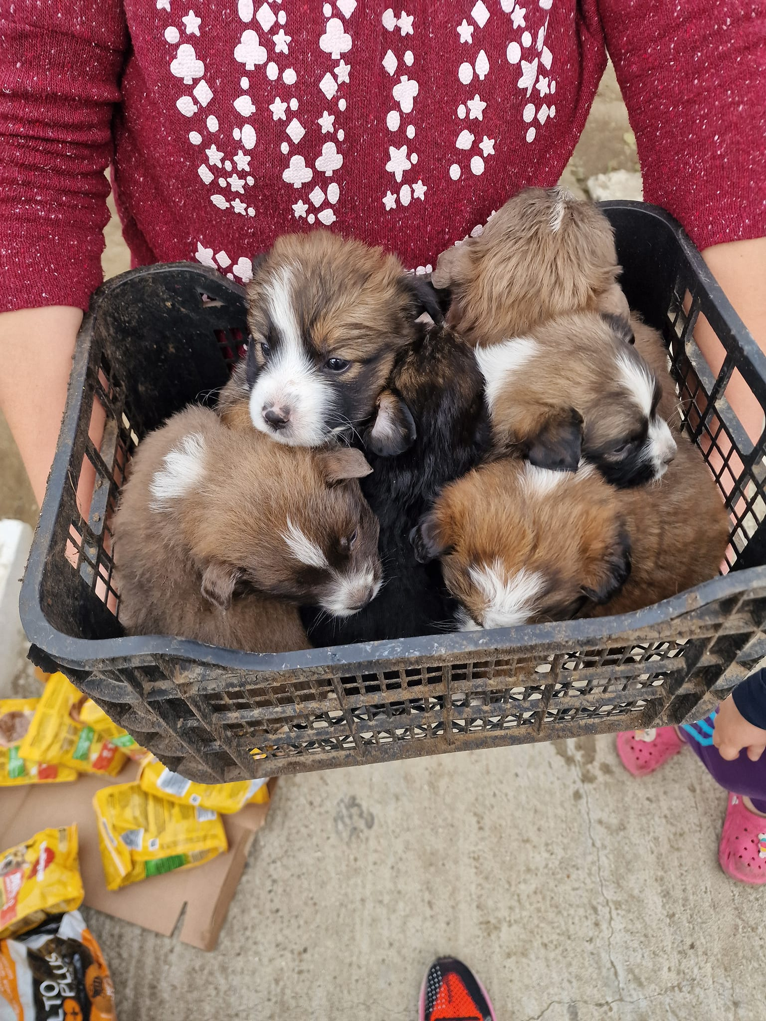 Terorizată de soţ, din cauza animalelor, a cerut ajutorul „Help Lăbuş”