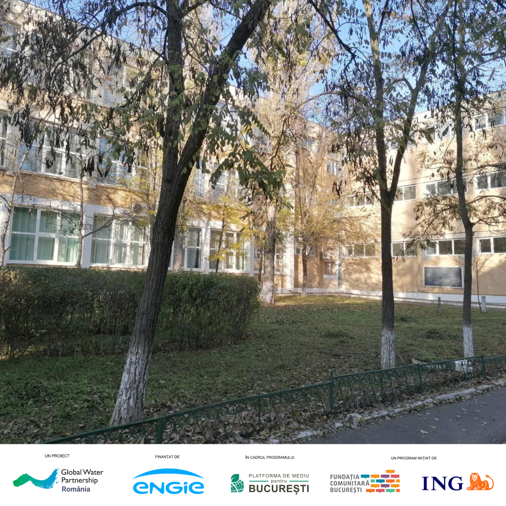 Pentru Școlile și Liceele din Orașul Galați -  Perioada de înscrieri pentru proiectul „Mini Pădurea din Curtea Școlii” a fost extinsă până pe 20 ianuarie 2025.