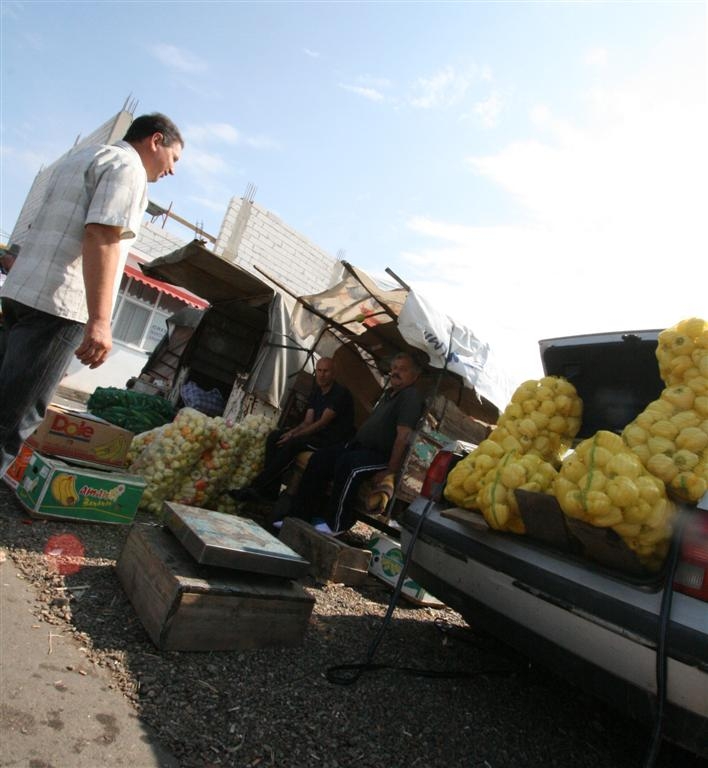 Matca prosperă şi pe secetă