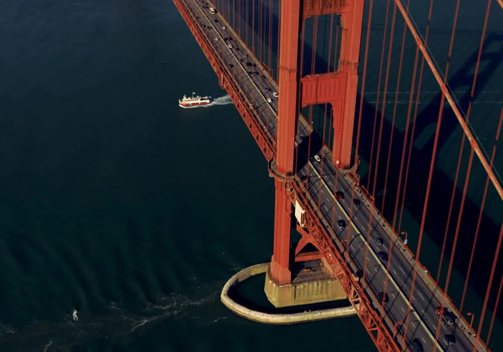 Creierul și furnica, un cuplu fabulos