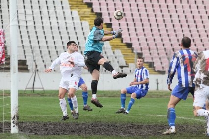 Curcă a făcut-o… de oaie! 