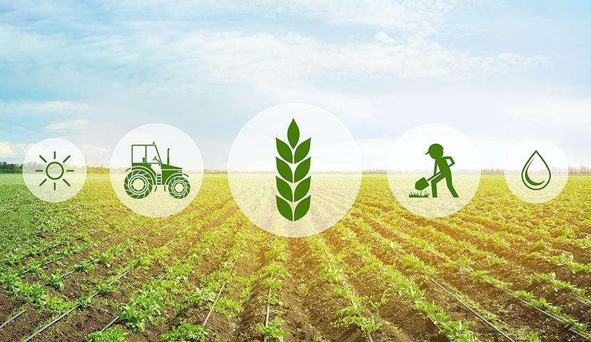 APIA. Autorizări finale de plată în luna decembrie