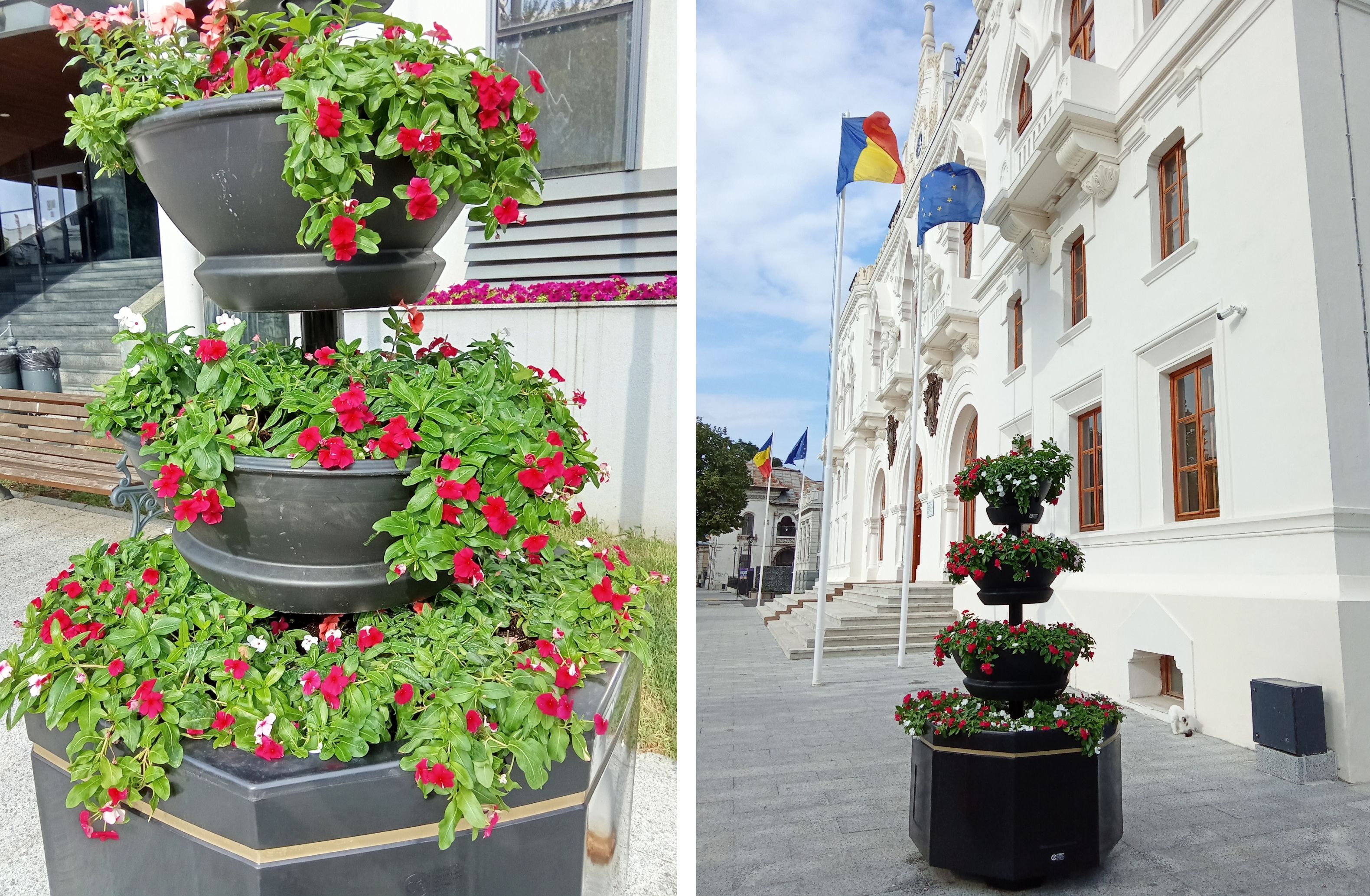 Poza zilei. Cât au costat noile jardiniere din Centrul Galaţiului