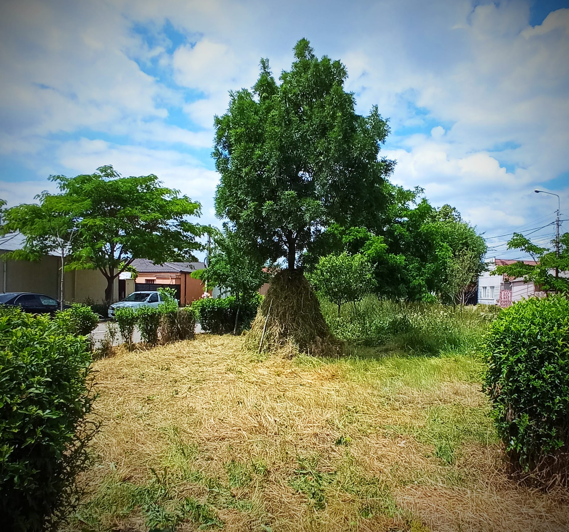 „The Căpitza”, noua atracție (agro)turistică din Galați