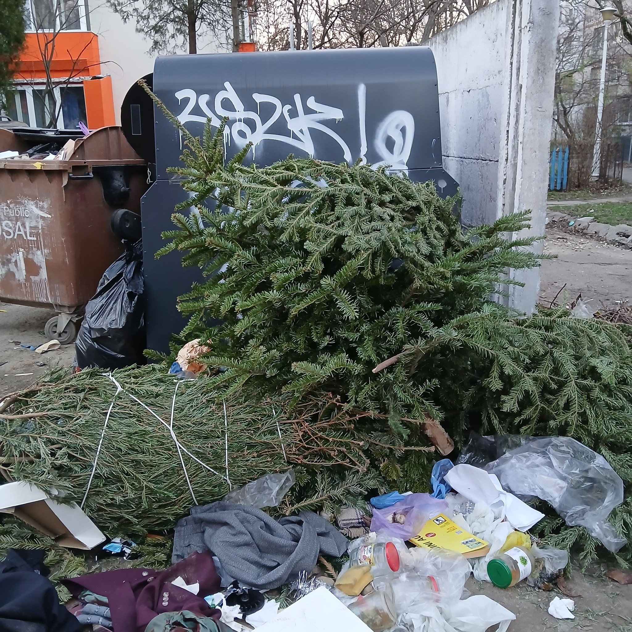 Poza zilei. A trecut Sf. Ion, am scăpat de pom!