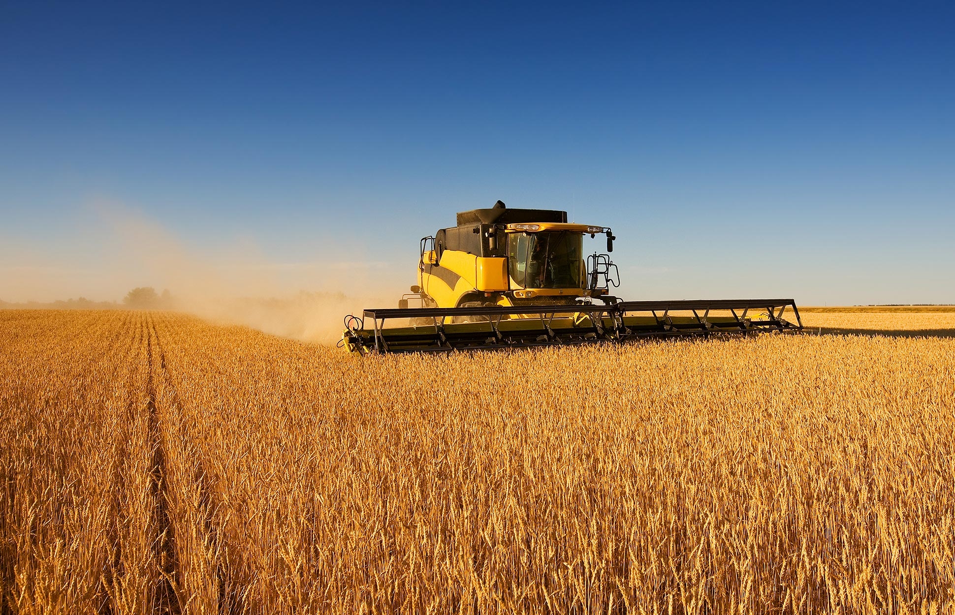 Câţi BANI au făcut MARII AGRICULTORI ai Galaţiului