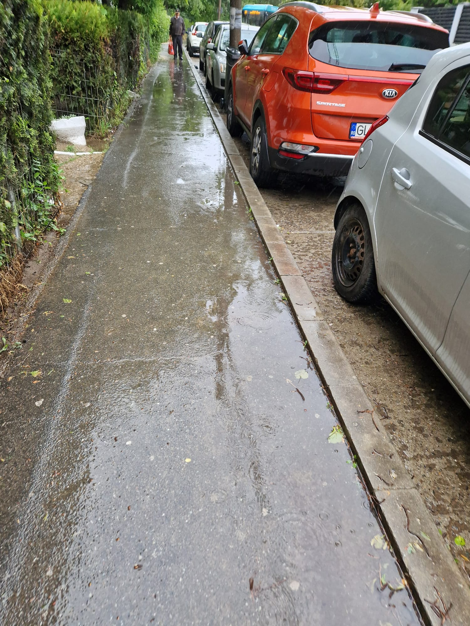 Ploaie pe tot parcursul zilei