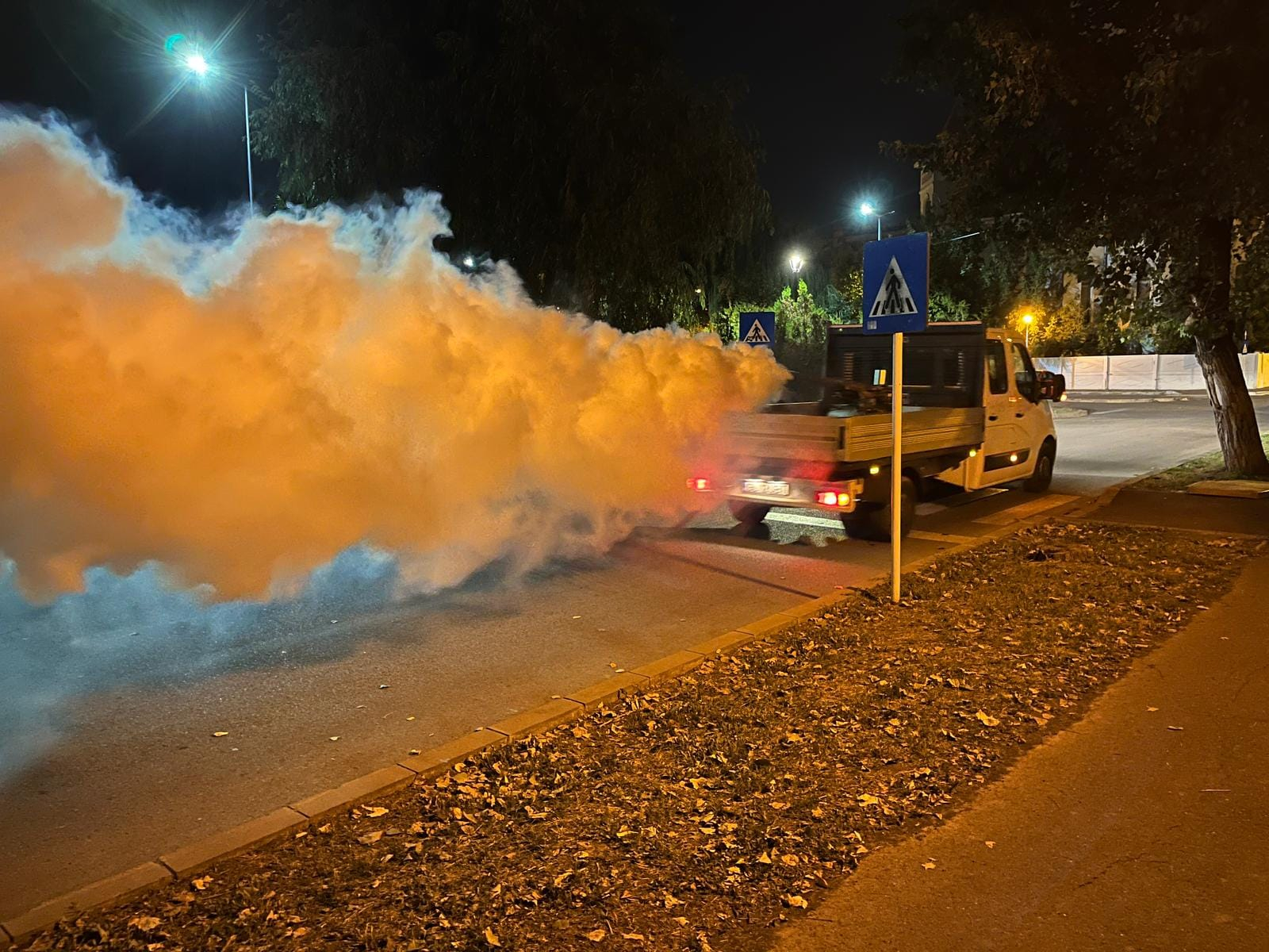 După dezinsecție... ploaie!