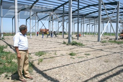 Legumele vor avea... drepturi occidentale