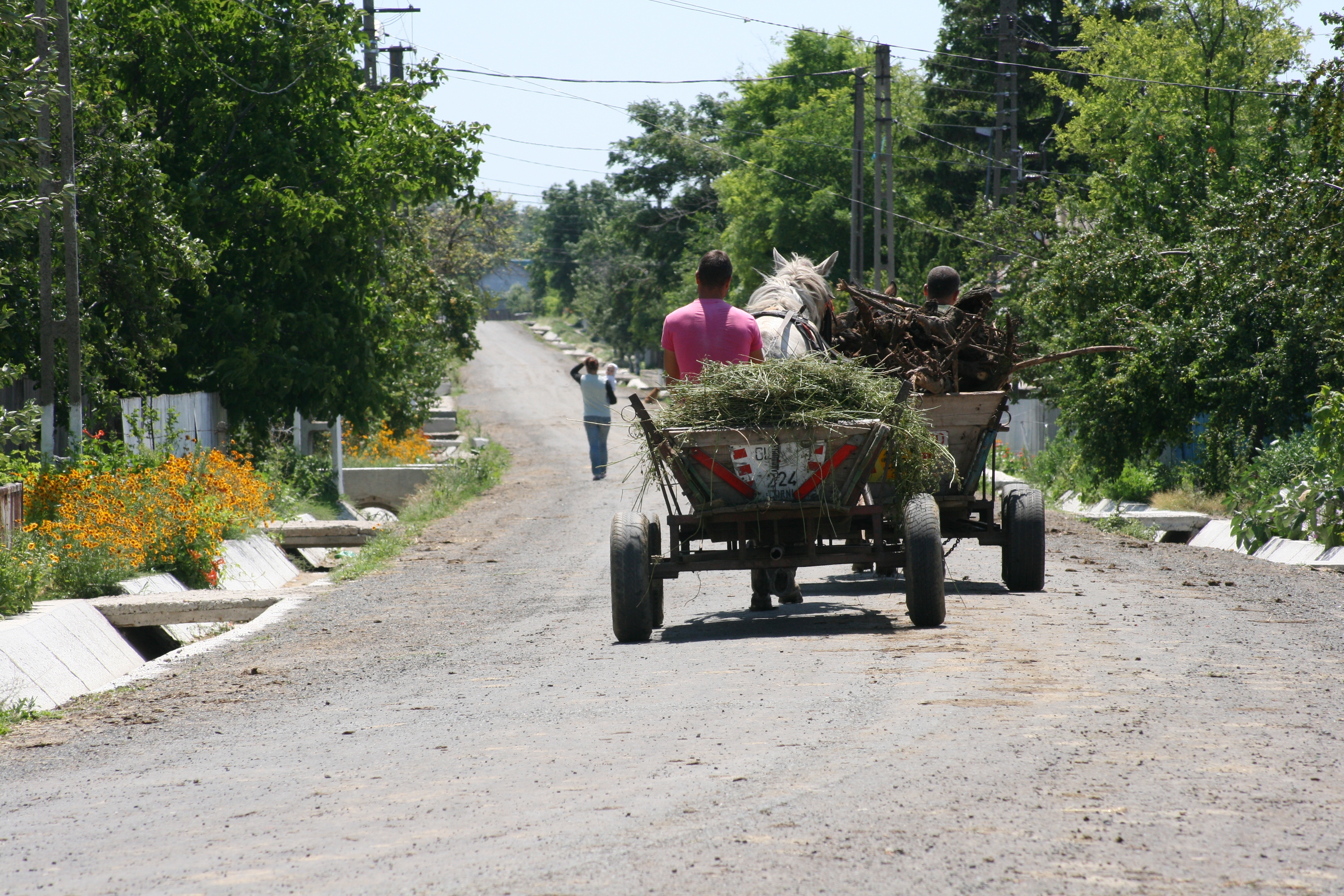Campanie VL "Sate care mor": La Urleşti - asfalt, apă şi lumină, dar niciun viitor 