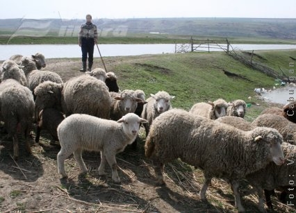 Mioriţa de Folteşti