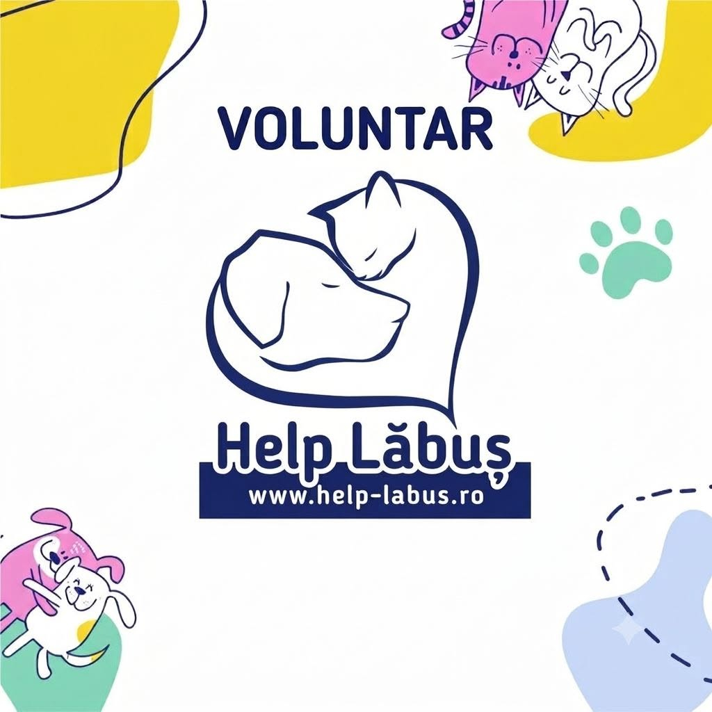 Adăpostul ”Help Lăbuş” caută voluntari