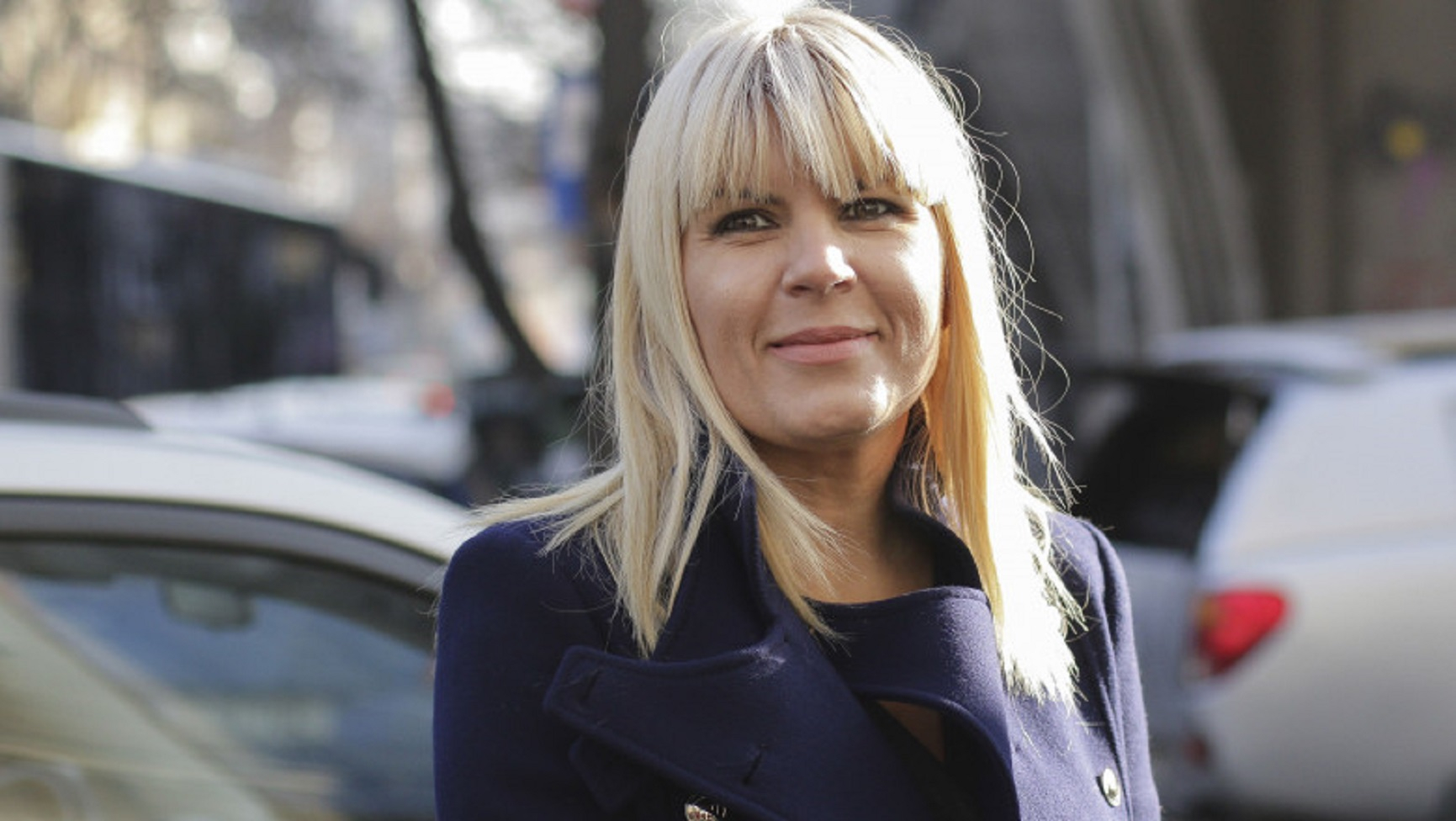 Elena Udrea, internată în spital