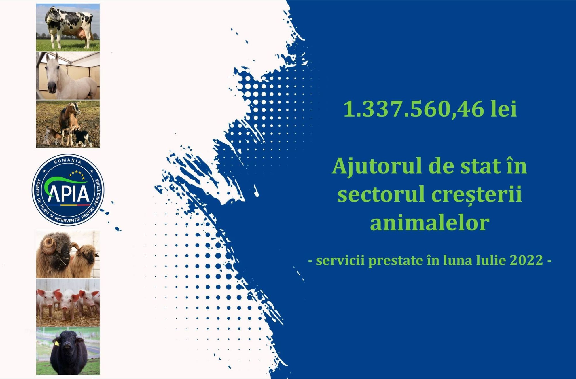 APIA face plăți în sectorul creșterii animalelor