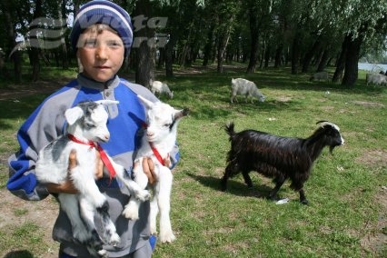 Povestea lui Ionică  