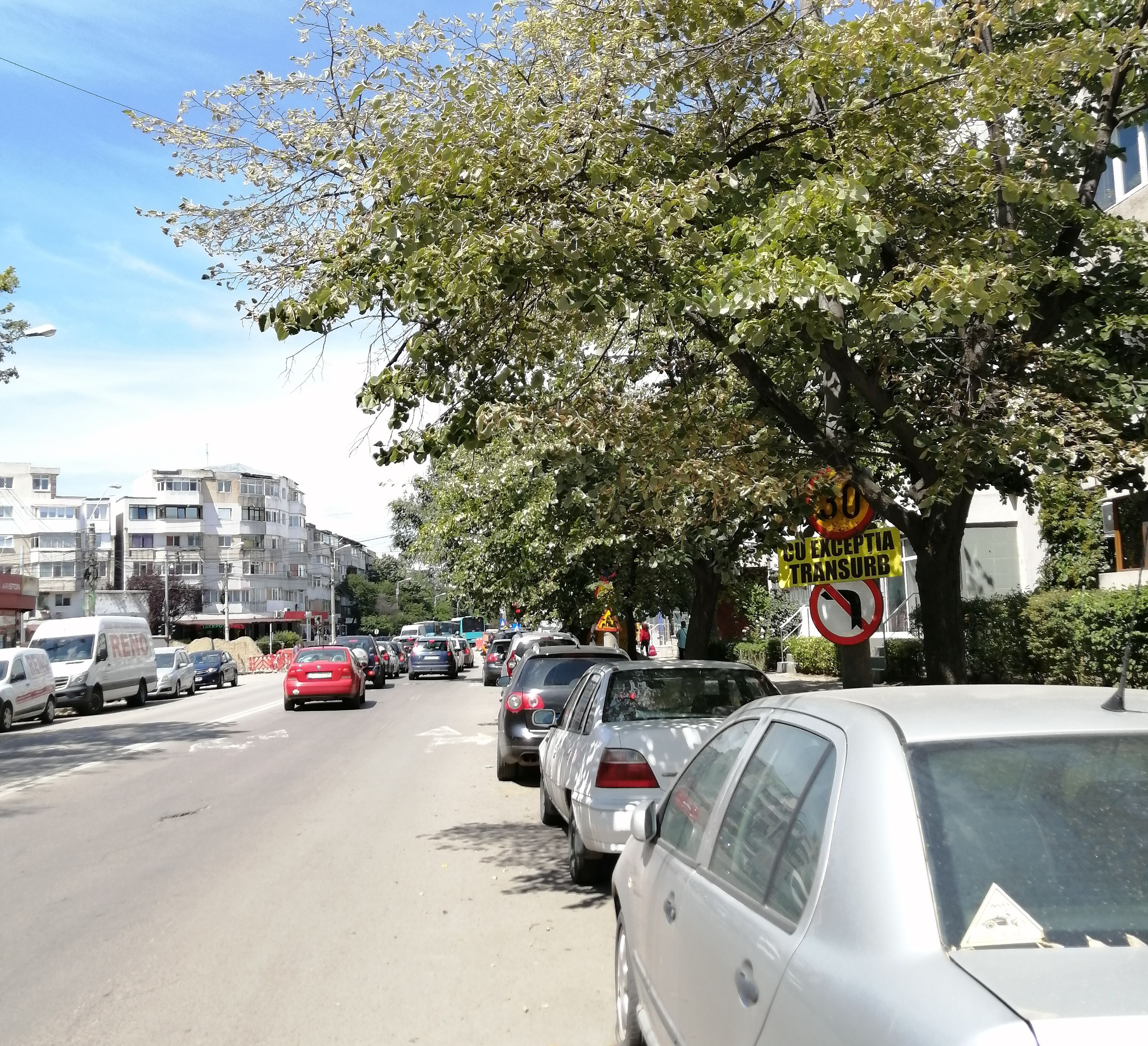 ”Interzis la stânga”, pierdut printre crengi. Semne de circulaţie ascunse