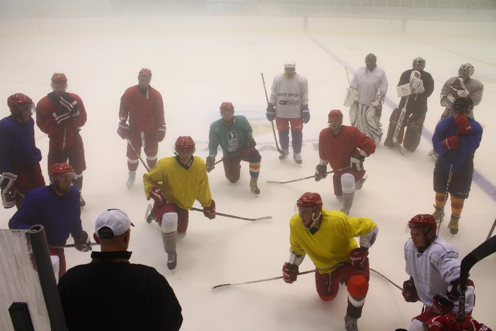 HOCHEI/ Campionii au reintrat pe gheaţă