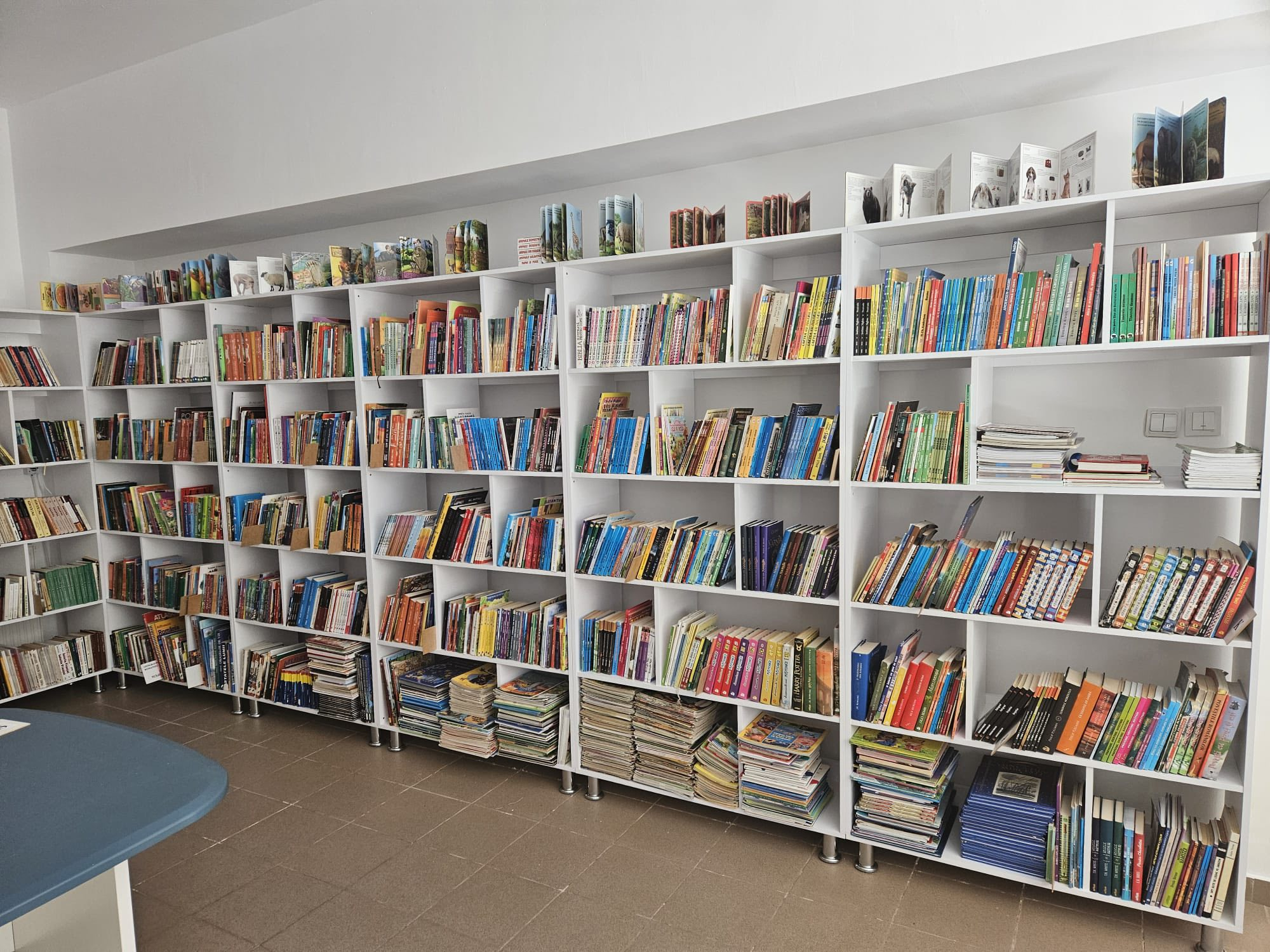 Multe cărți noi, la biblioteca din Slobozia Conachi