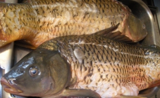 Aveţi grijă ce cumpăraţi! Peste 20 de TONE DE PEŞTE CONFISCATE în urma CONTROALELOR la comercianți