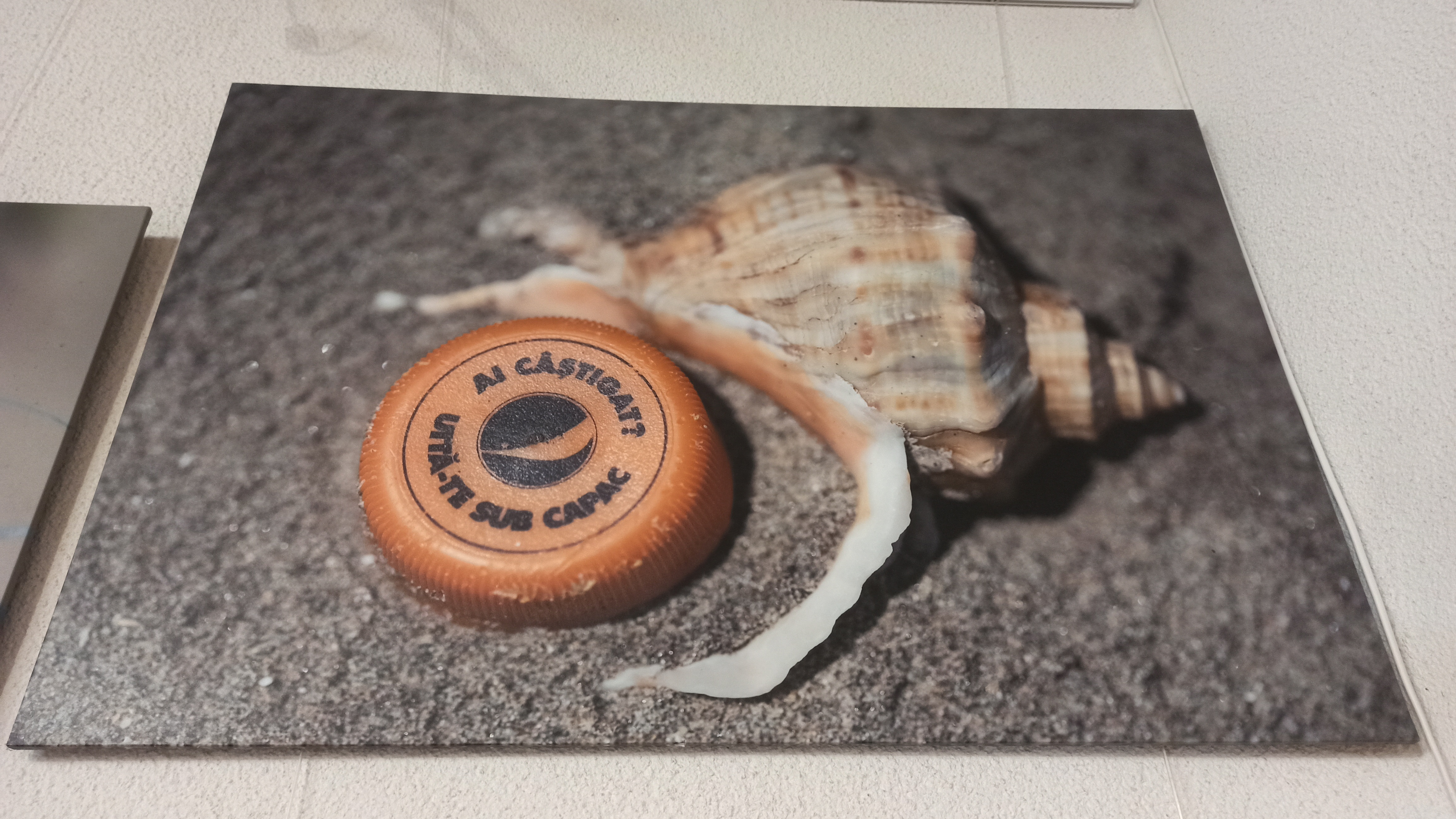 Expoziţie-apel împotriva poluării cu plastic a Dunării