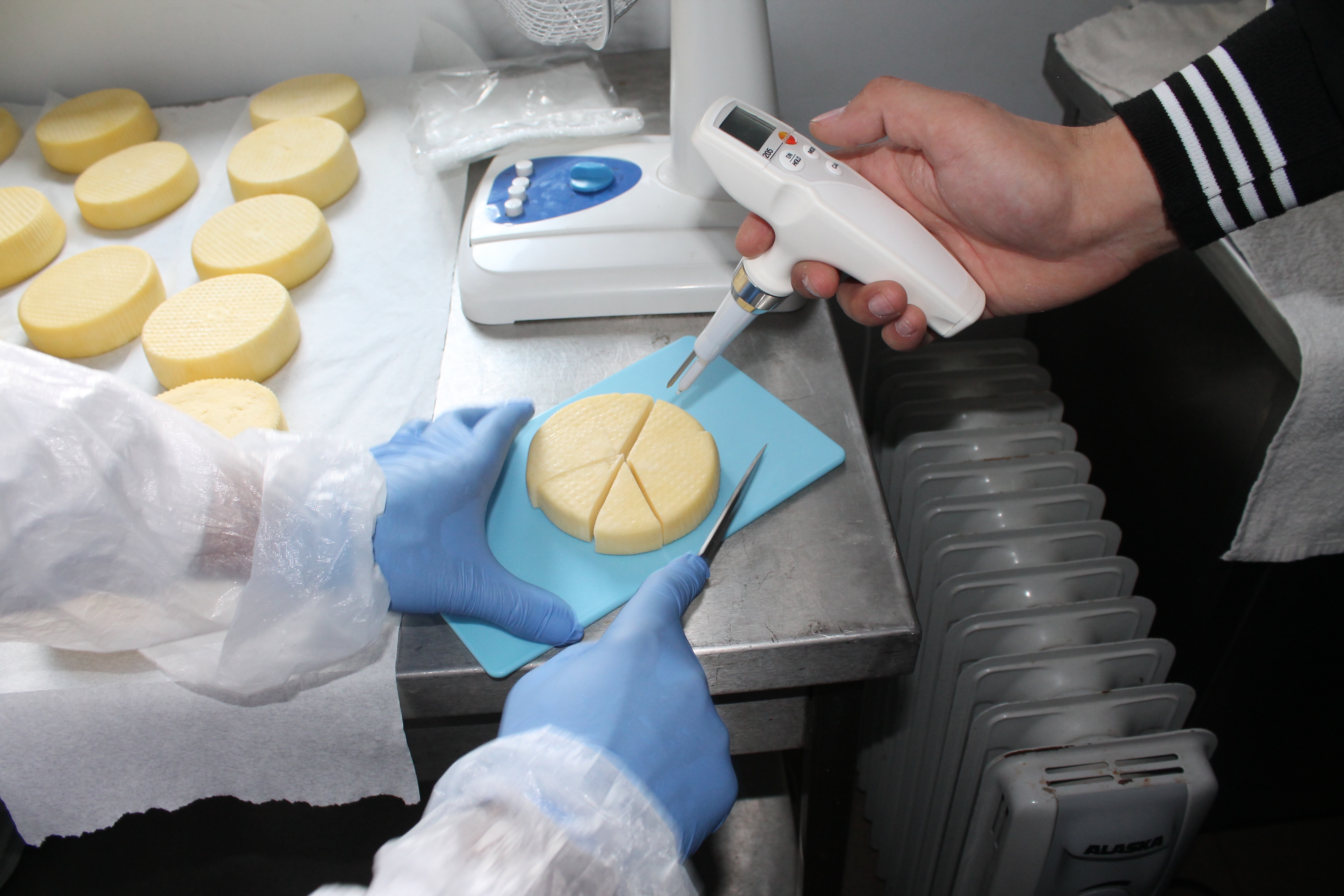 Ferma gălăţeană care produce doar mâncare ecologică (FOTO)