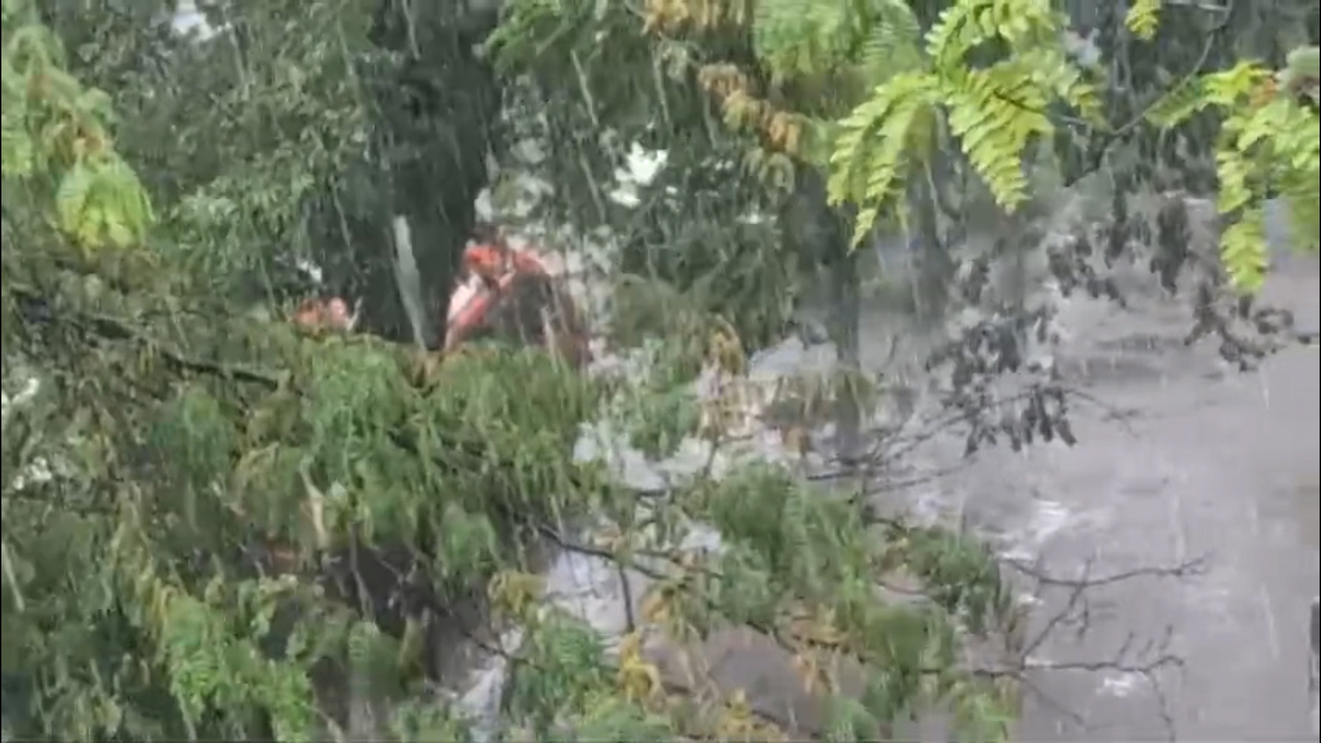 A fost convocat Comitetul Județean pentru Situații de Urgență