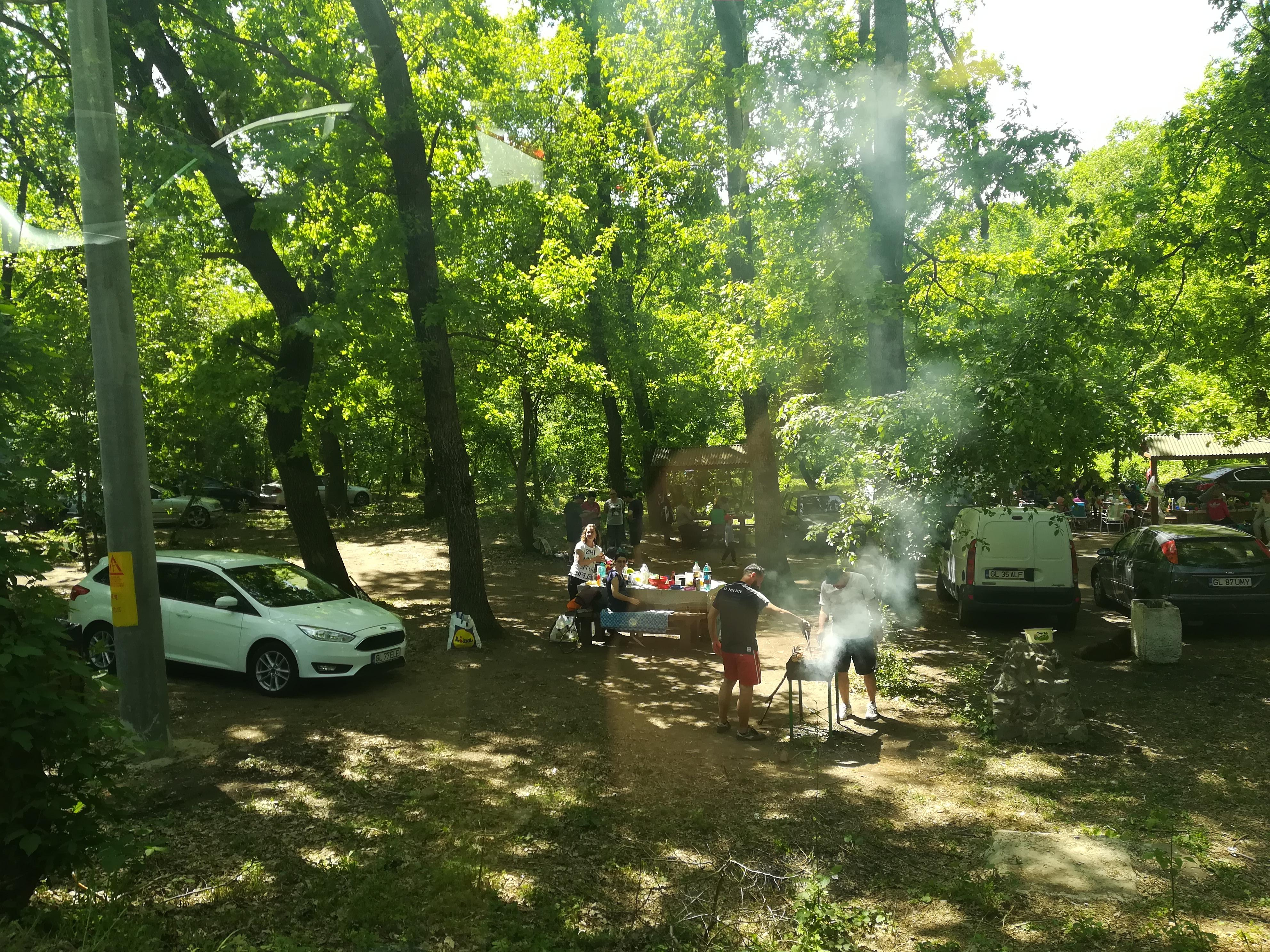 Petrecere şi voie bună în Pădurea Gârboavele