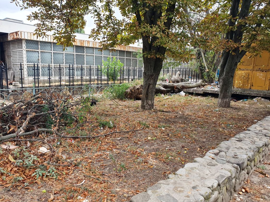 Imagine dezolantă în spatele Clubului Sidex din Galați