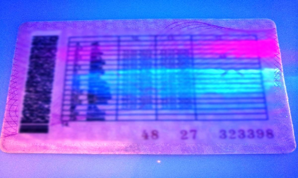 Cât costă să obţii un permis fals